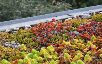 the cost of Meden Vale green roof installation