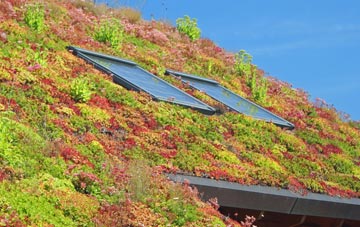 Meden Vale living roof systems